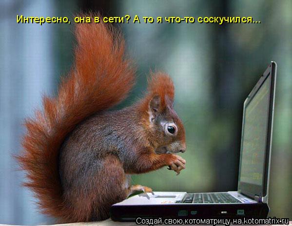 Котоматрица: Интересно, она в сети? А то я что-то соскучился...