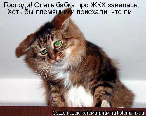 Котоматрица: Господи! Опять бабка про ЖКХ завелась. Хоть бы племянники приехали, что ли!