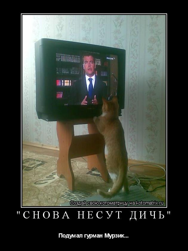 "Снова несут дичь" Подумал гурман Мурзик...... Котоматрица: "Снова несут дичь" Подумал гурман Мурзик...