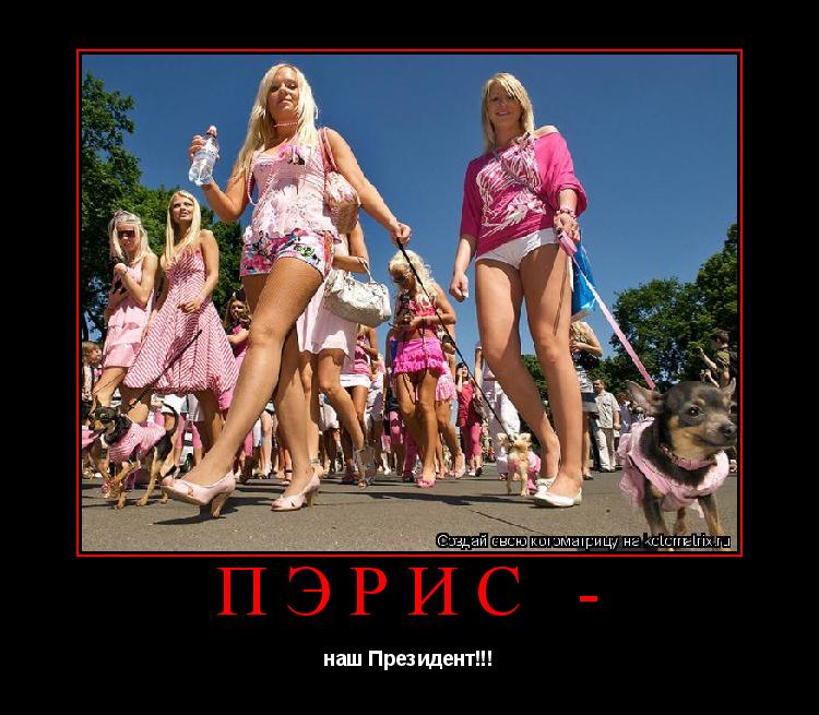 Пэрис - наш Президент!!!... Котоматрица: Пэрис - наш Президент!!!