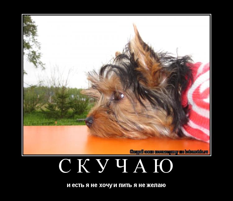 СКУЧАЮ и есть я не хочу и пить я не желаю... Котоматрица: СКУЧАЮ и есть я не хочу и пить я не желаю