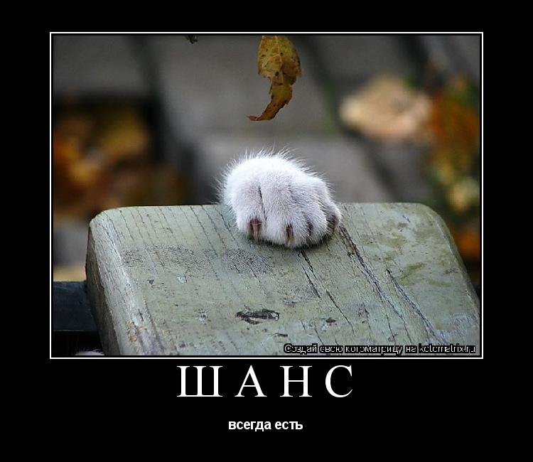 ШАНС всегда есть... Котоматрица: ШАНС всегда есть