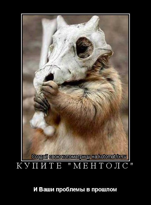 Купите "Ментолс" И Ваши проблемы в прошлом... Котоматрица: Купите "Ментолс" И Ваши проблемы в прошлом