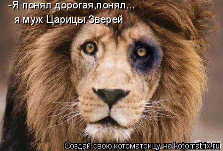 Котоматрица: -Я понял дорогая,понял... я муж Царицы Зверей