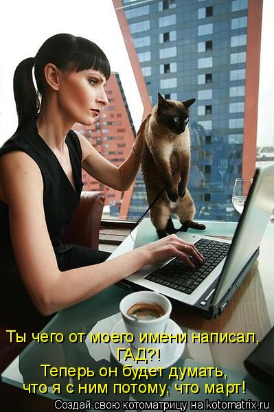 Котоматрица: Ты чего от моего имени написал, ГАД?! Теперь он будет думать, что я с ним потому, что март!