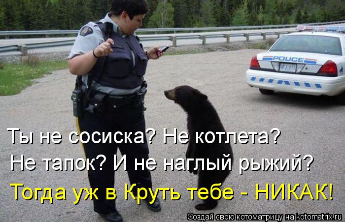 Котоматрица: Ты не сосиска? Не котлета?  Не тапок? И не наглый рыжий?  Тогда уж в Круть тебе - НИКАК!