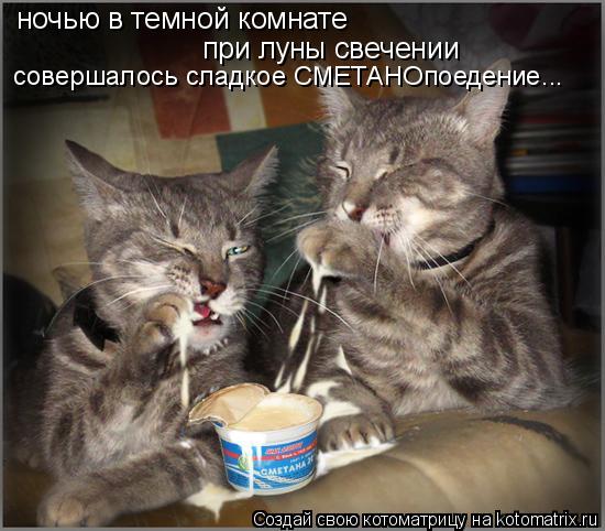 Котоматрица: ночью в темной комнате при луны свечении совершалось сладкое СМЕТАНОпоедение...