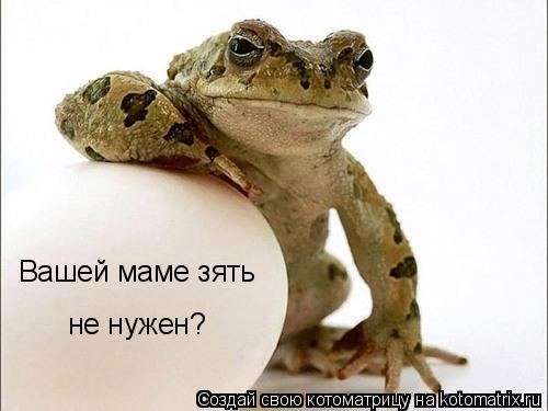 Вашей маме зять не нужен?... Котоматрица: Вашей маме зять не нужен?
