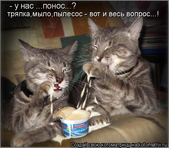 Котоматрица: - у нас ...понос...? тряпка,мыло,пылесос - вот и весь вопрос...!