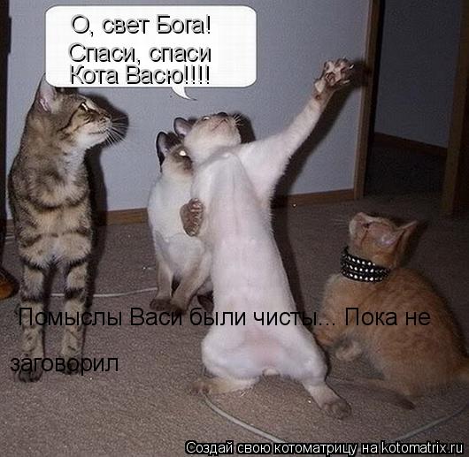 Помыслы Васи были чисты... Пока не заговорил О, свет Бога! Спаси, спаси Кота Васю!!!!... Котоматрица: Помыслы Васи были чисты... Пока не заговорил О, свет Бога! Спаси, спаси Кота Васю!!!!
