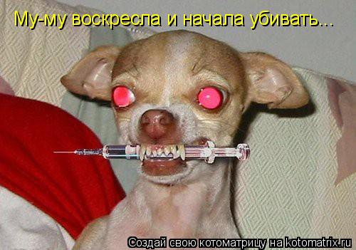 Му-му воскресла и начала убивать...... Котоматрица: Му-му воскресла и начала убивать...