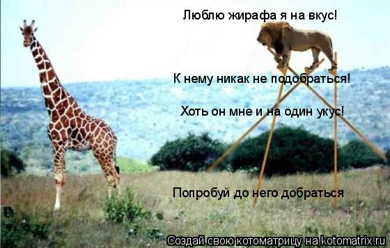 Люблю жирафа я на вкус! К нему никак не подобраться! Хоть он мне и на один укус! Попробуй до него доб... Котоматрица: Люблю жирафа я на вкус! К нему никак не подобраться! Хоть он мне и на один укус! Попробуй до него добраться