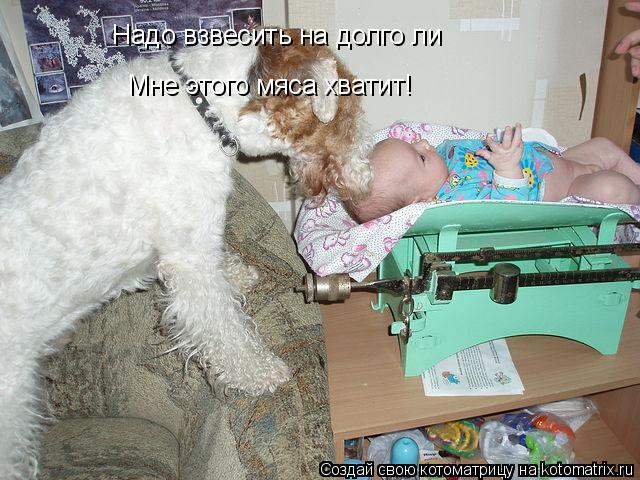 Котоматрица: Надо взвесить на долго ли Мне этого мяса хватит!