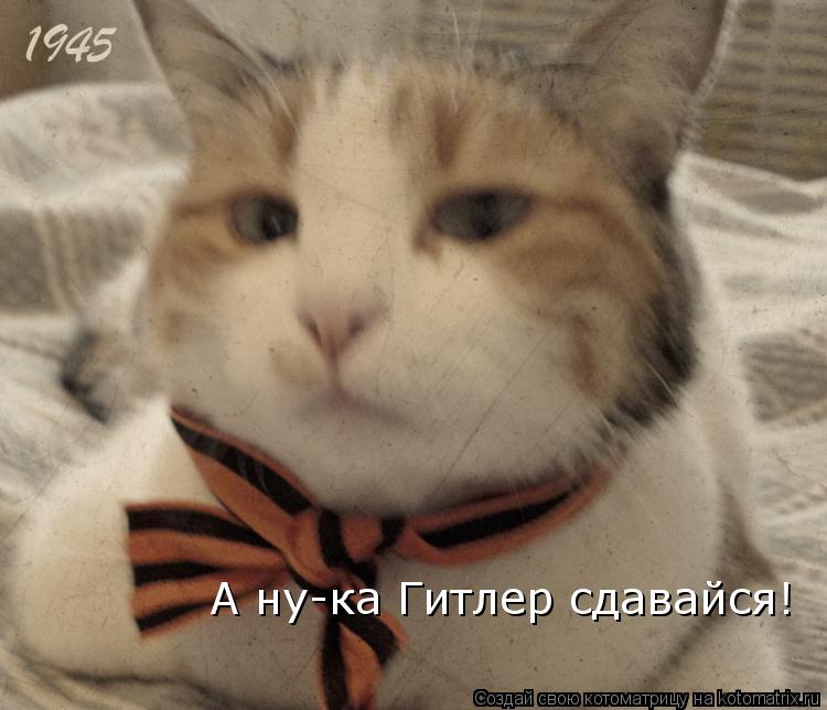 Котоматрица: А ну-ка Гитлер сдавайся!