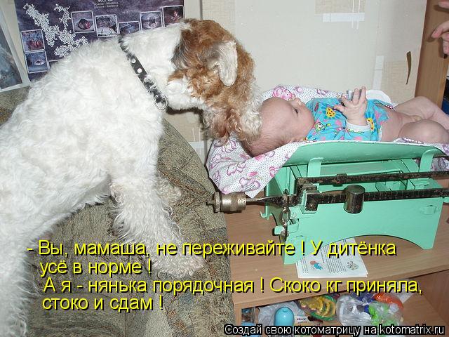 Котоматрица: - Вы, мамаша, не переживайте ! У дитёнка  усё в норме !  А я - нянька порядочная ! Скоко кг приняла, стоко и сдам !