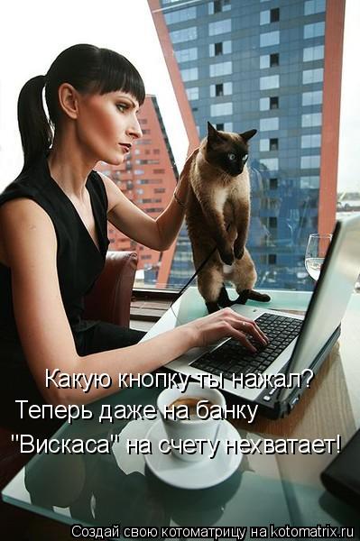 Какую кнопку ты нажал? Теперь даже на банку "Вискаса" на счету нехватает!... Котоматрица: Какую кнопку ты нажал? Теперь даже на банку "Вискаса" на счету нехватает!