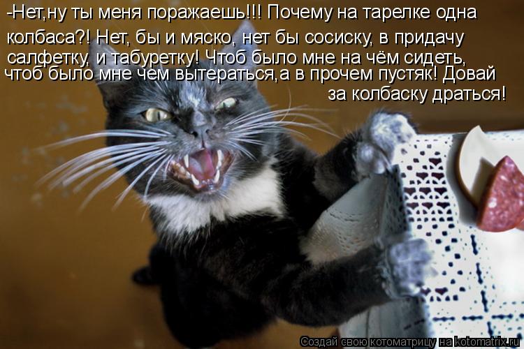-Нет,ну ты меня поражаешь!!! Почему на тарелке одна колбаса?! Нет, бы и мяско, нет бы сосиску, в прид... Котоматрица: -Нет,ну ты меня поражаешь!!! Почему на тарелке одна колбаса?! Нет, бы и мяско, нет бы сосиску, в придачу салфетку, и табуретку! Чтоб было мне на