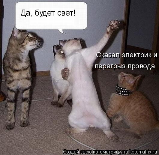 Да, будет свет! перегрыз провода Сказал электрик и... Котоматрица: Да, будет свет! перегрыз провода Сказал электрик и