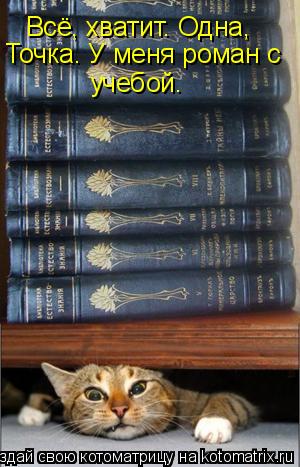 Всё, хватит. Одна, Точка. У меня роман с учебой.... Котоматрица: Всё, хватит. Одна, Точка. У меня роман с учебой.