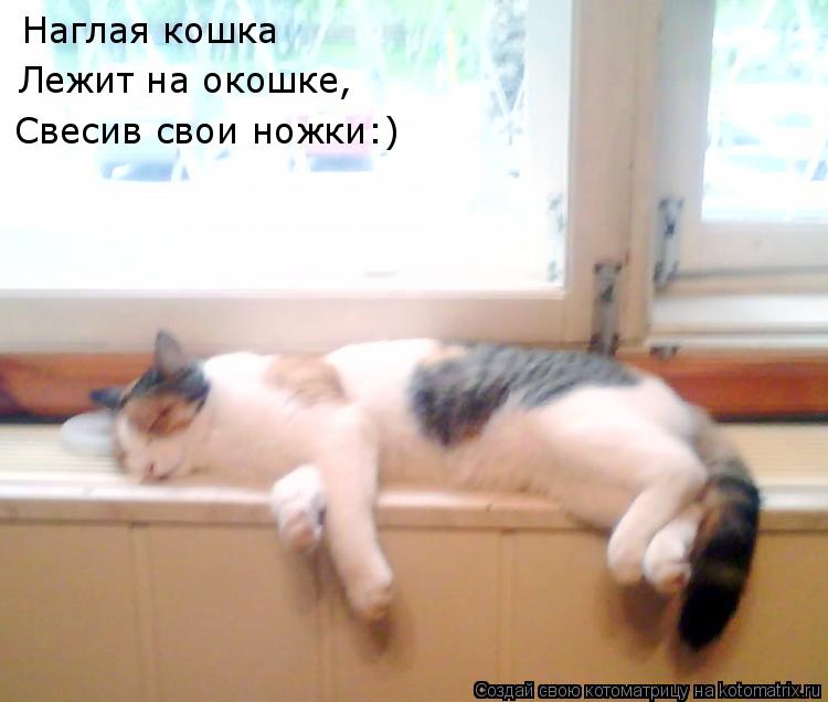 Котоматрица: Наглая кошка Лежит на окошке, Свесив свои ножки:)