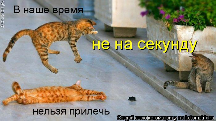 Котоматрица: В наше время не на секунду нельзя прилечь