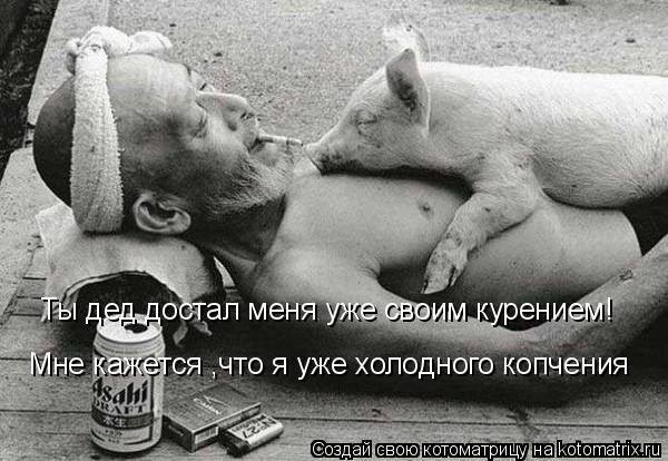 Ты дед достал меня уже своим курением! Мне кажется ,что я уже холодного копчения... Котоматрица: Ты дед достал меня уже своим курением! Мне кажется ,что я уже холодного копчения