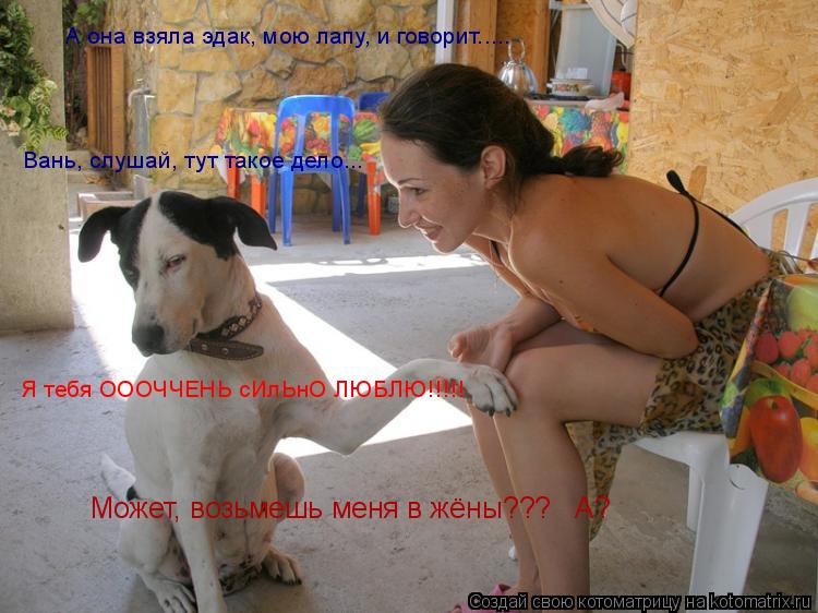 Котоматрица: А она взяла эдак, мою лапу, и говорит..... Вань, слушай, тут такое дело... Я тебя ОООЧЧЕНЬ сИлЬнО ЛЮБЛЮ!!!!! Может, возьмешь меня в жёны???   А?