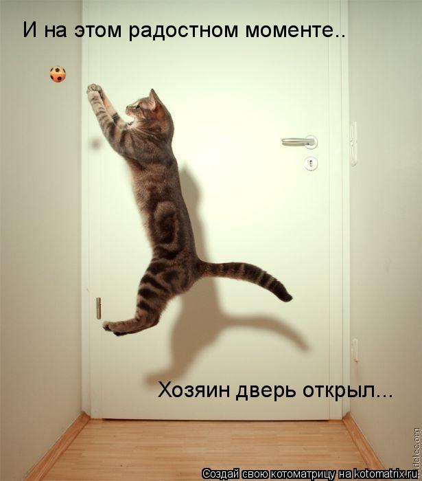 Котоматрица: И на этом радостном моменте.. Хозяин дверь открыл...