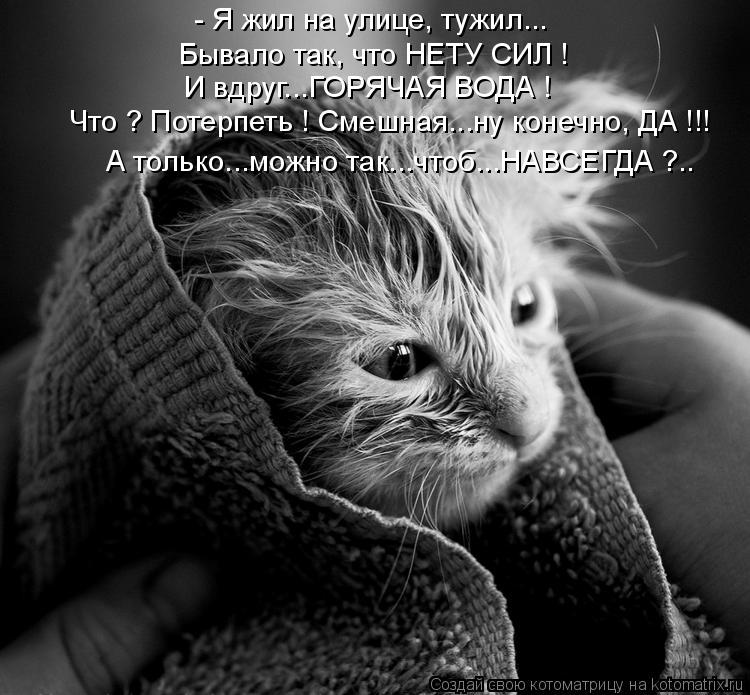 - Я жил на улице, тужил... Бывало так, что НЕТУ СИЛ ! И вдруг...ГОРЯЧАЯ ВОДА ! Что ? Потерпеть ! Смеш... Котоматрица: - Я жил на улице, тужил... Бывало так, что НЕТУ СИЛ ! И вдруг...ГОРЯЧАЯ ВОДА ! Что ? Потерпеть ! Смешная...ну конечно, ДА !!! А только...можно так...ч