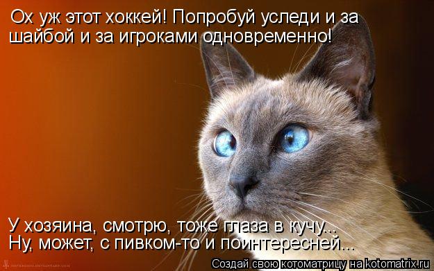 Котоматрица: Ох уж этот хоккей! Попробуй уследи и за шайбой и за игроками одновременно! У хозяина, смотрю, тоже глаза в кучу... Ну, может, с пивком-то и поинт
