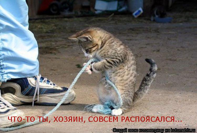 ЧТО-ТО ТЫ, ХОЗЯИН, СОВСЕМ РАСПОЯСАЛСЯ...... Котоматрица: ЧТО-ТО ТЫ, ХОЗЯИН, СОВСЕМ РАСПОЯСАЛСЯ...