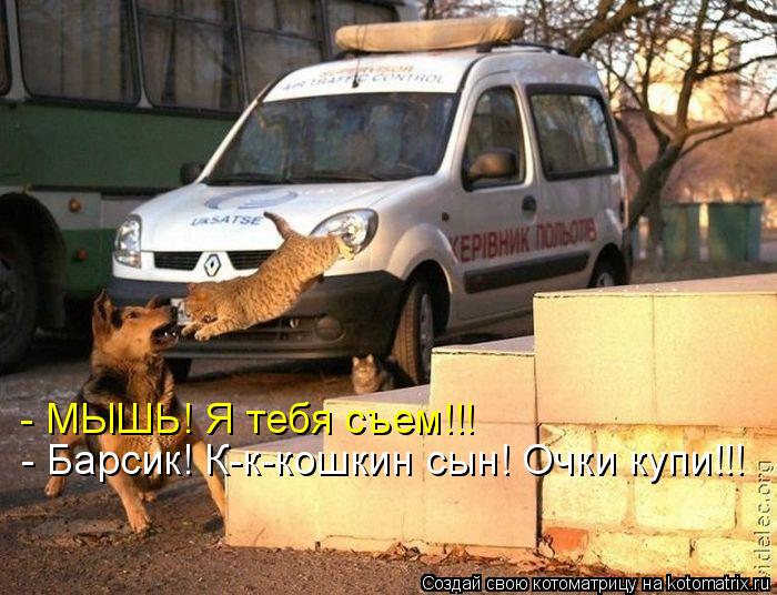 - МЫШЬ! Я тебя съем!!! - Барсик! К-к-кошкин сын! Очки купи!!!... Котоматрица: - МЫШЬ! Я тебя съем!!! - Барсик! К-к-кошкин сын! Очки купи!!!