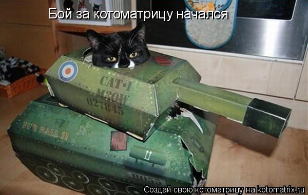Котоматрица: Бой за котоматрицу начался