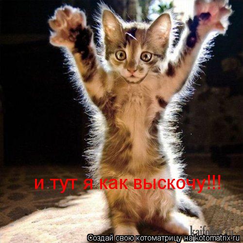 Котоматрица: и тут я как выскочу!!!