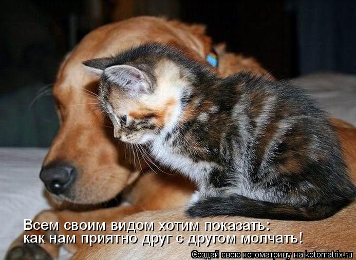 Котоматрица: Всем своим видом хотим показать: как нам приятно друг с другом молчать!