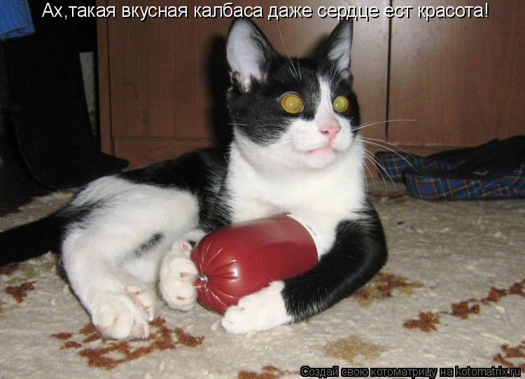 Котоматрица: Ах,такая вкусная калбаса даже сердце ест красота!