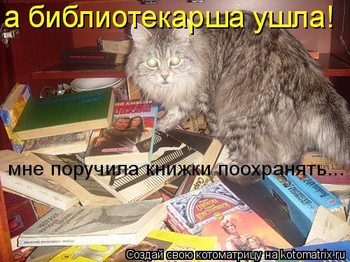 Котоматрица: а библиотекарша ушла!  мне поручила книжки поохранять...