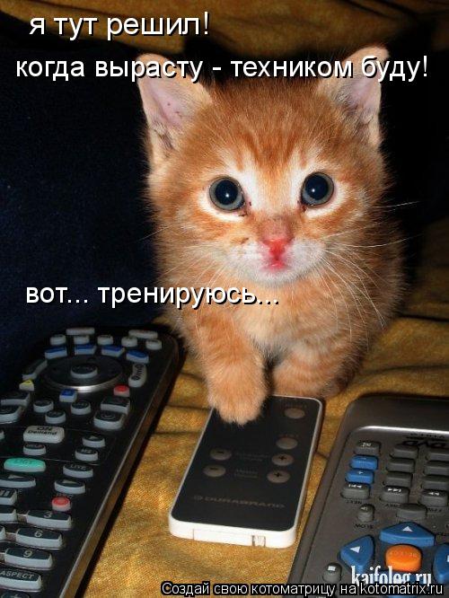 Котоматрица: я тут решил! когда вырасту - техником буду! вот... тренируюсь...