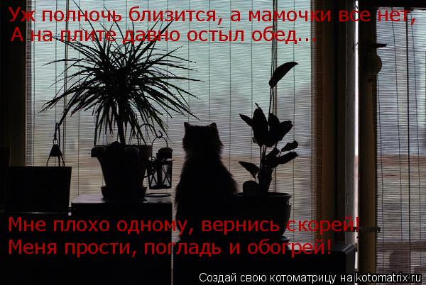 Котоматрица: Уж полночь близится, а мамочки все нет, А на плите давно остыл обед... Мне плохо одному, вернись скорей! Меня прости, погладь и обогрей!