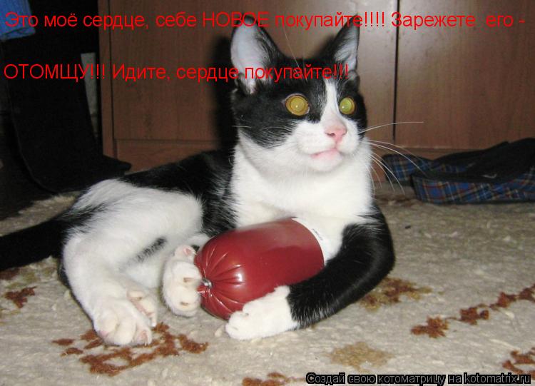 Котоматрица: Это моё сердце, себе НОВОЕ покупайте!!!! Зарежете  его - ОТОМЩУ!!! Идите, сердце покупайте!!!