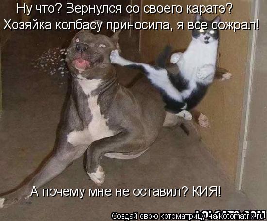 Котоматрица: Ну что? Вернулся со своего каратэ? Ну что? Вернулся со своего каратэ? Хозяйка колбасу приносила, я все сожрал! А почему мне не оставил? КИЯ!
