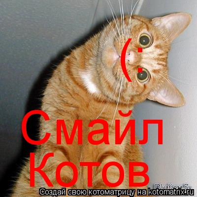 Котоматрица: (: Смайл Котов