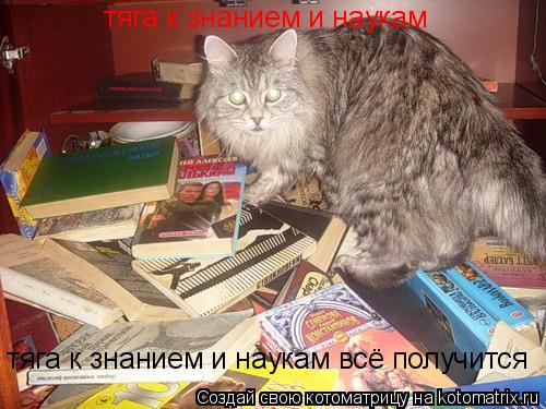 Котоматрица: тяга к знанием и наукам тяга к знанием и наукам всё получится