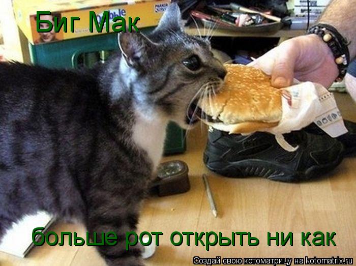 Котоматрица: Биг Мак больше рот открыть ни как