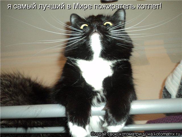 Котоматрица: я самый лучший в Мире пожиратель котлет!