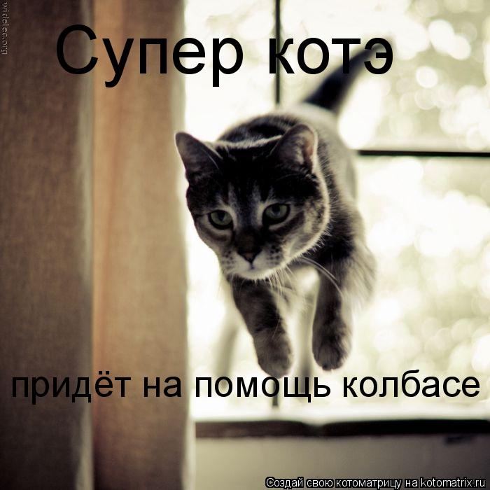 Котоматрица: Супер котэ придёт на помощь колбасе