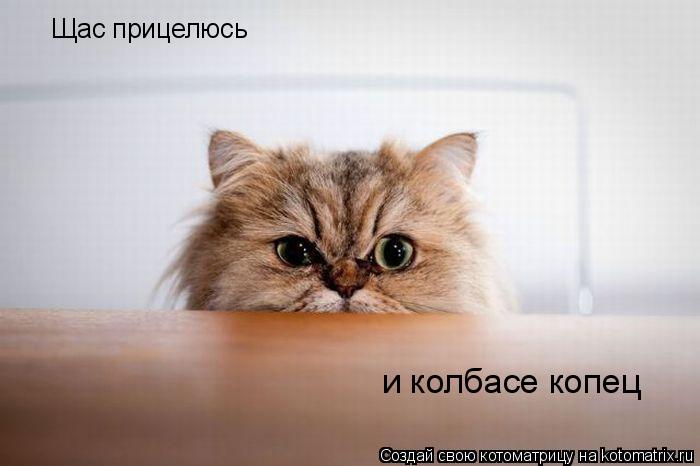Котоматрица: Щас прицелюсь и колбасе копец