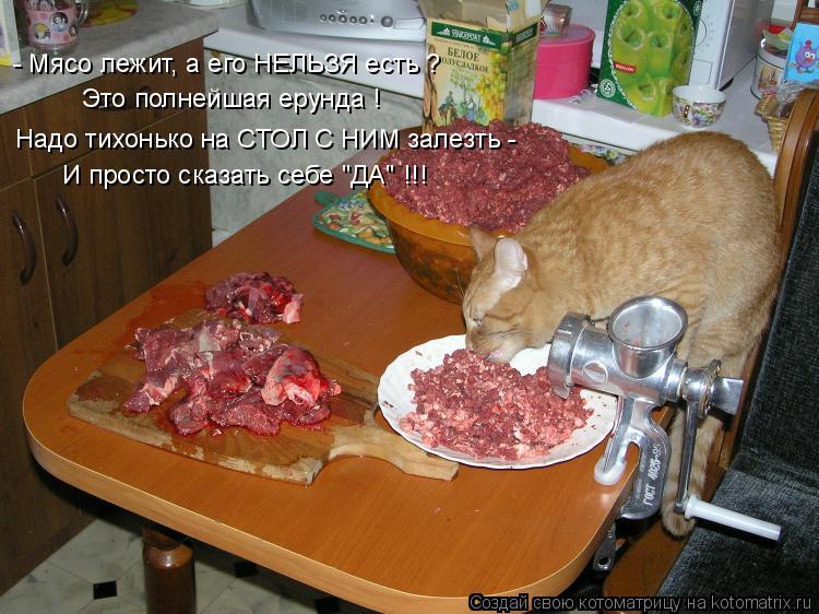 - Мясо лежит, а его НЕЛЬЗЯ есть ? Это полнейшая ерунда ! И просто сказать себе "ДА" !!! Надо тихонько... Котоматрица: - Мясо лежит, а его НЕЛЬЗЯ есть ? Это полнейшая ерунда ! И просто сказать себе "ДА" !!! Надо тихонько на СТОЛ С НИМ залезть -
