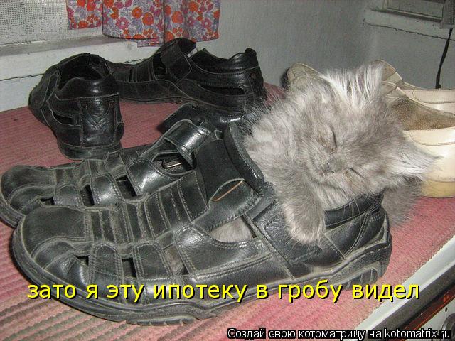 Котоматрица: зато я эту ипотеку в гробу видел