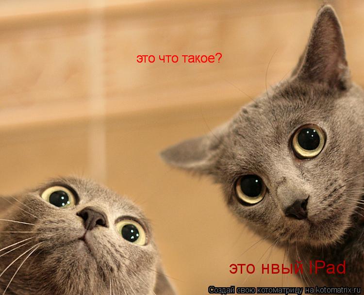 Котоматрица: это что такое? это что такое? это нвый IPad